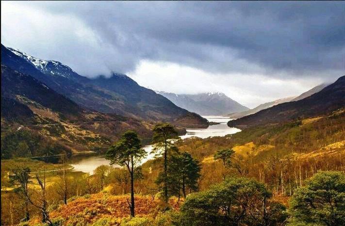 Forest View Guest House Kinlochleven Exterior photo